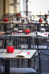 Little red pots, plant decoration in cafe