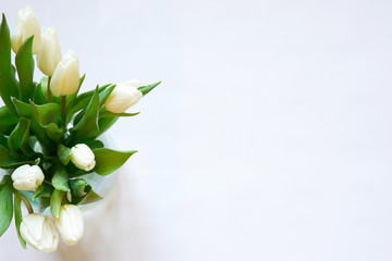 Top view of white tulips