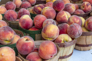 Fresh Organic Fruits and Vegetables at Farmers Market