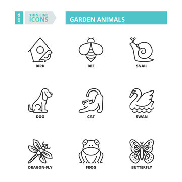 Thin line icons. Garden animals