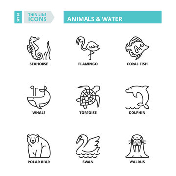 Thin line icons. Animals and water