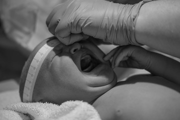 Newborn baby being examined by paediatric doctors moments after birth with tape measure and gloves checking vital signs and head size in neonatal care crying caucasian female daughter black and white