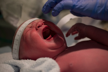 Newborn baby being examined by paediatric doctors moments after birth with tape measure and gloves checking vital signs and head size in neonatal care crying caucasian female daughter