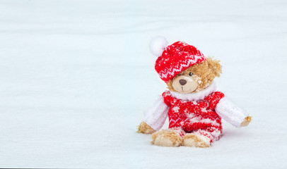 Teddy Bear Sitting on Snow  Dressed in a Knitted Clothes