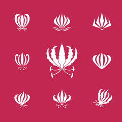 Vector set of white silhouettes gloriosa or flame lily flower. Elements for logos