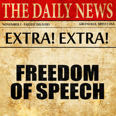 freedom of speech, newspaper article text