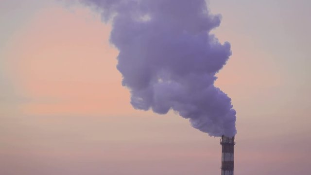 Smoking chimneys CHP at sunset