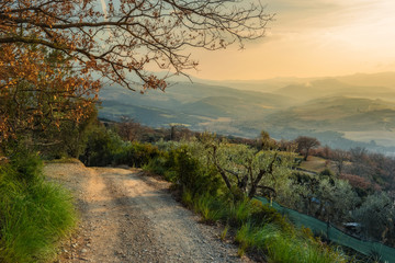 Surprising landscape at sunset in Tuscany.