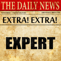 expert, newspaper article text