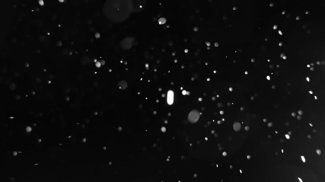 Real winter snowfall. Snow Slow motion filmed with studio lighting 