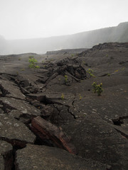 The ground has cracked along this hike through Volcanoes National Park in Hawaii.