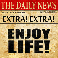 enjoy life!, newspaper article text
