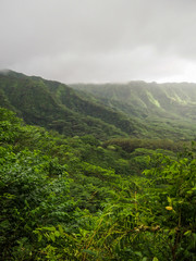 Naklejka na ściany i meble The lush green Manoa Valley located on Oahu in Hawaii was a filming location for Jurassic Park.