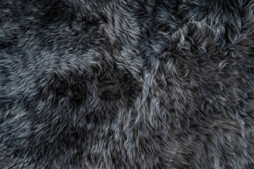 Grey sheepskin rug background sheep fur Wool texture