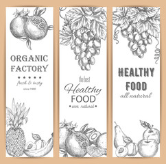 Garden fruit banners, agriculture sketch