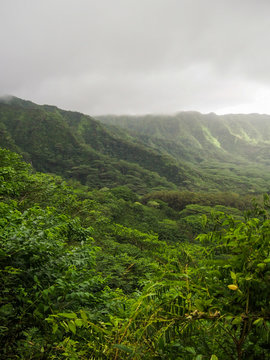 The lush green Manoa Valley located on Oahu in Hawaii was a filming location for Jurassic Park.