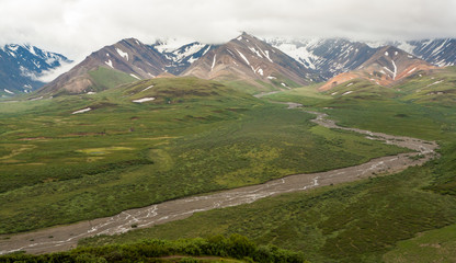Mountain range view in Denali Park, Alaska