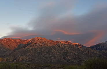 Berggipfel der Catalina Mountains in Tucson, Arizona, USA, im Abendsonnenschein © Dietlinde DuPlessis