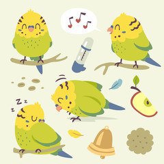 vector cartoon budgie parrot set