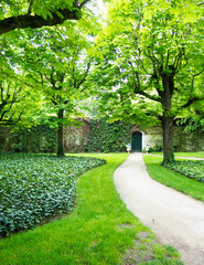 A path leads up to a cute green door in a stone wall evoking image of secret garden.