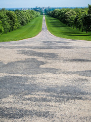 The long walk is a path that leads to Windsor Castle outside of London, England.