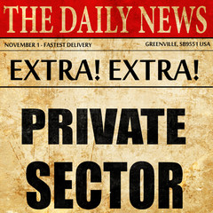 private sector, newspaper article text