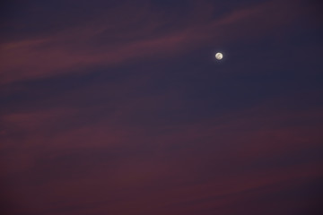 Winter Moon with Pink Sky at Sunset