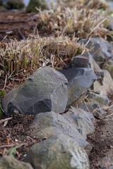Rock garden border closeup with grass