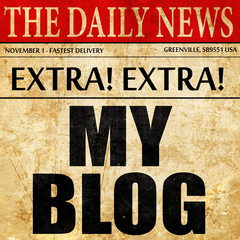 my blog, newspaper article text