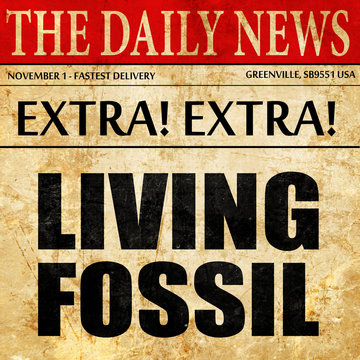 living fossil, newspaper article text