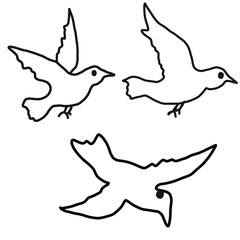 abstract hand draw doodle sketch set of birds on white background, vector, illustration, cartoon style