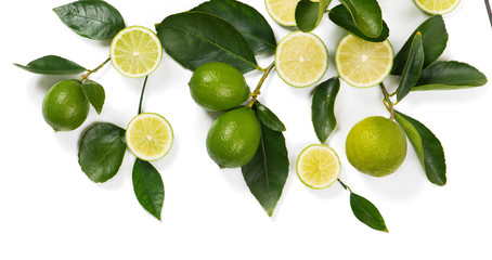 Branch with lime fruits.