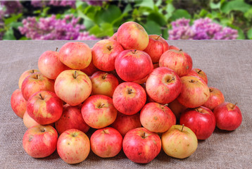Red apples on sackcloth with blurred background summer