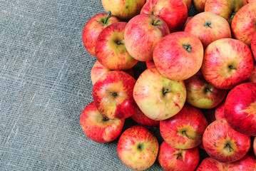 Lying red fresh apples on a fabric background.