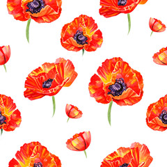 Watercolor pattern with red poppies isolated.