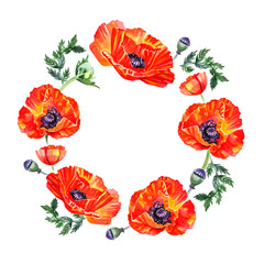 Wildflower poppy flower wreath in watercolor style isolated. Background, texture, wrapper pattern, frame or border.