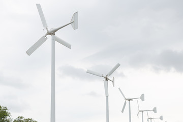 Wind turbines generate electricity