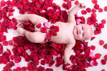 Obraz na płótnie Canvas Beautiful baby boy laying with rose petals 