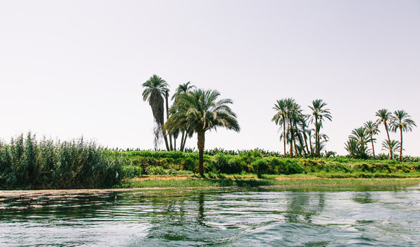trip on the Nile