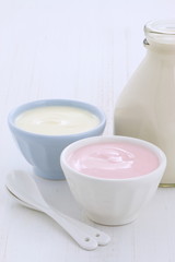 Obraz na płótnie Canvas vintage plain yogurt