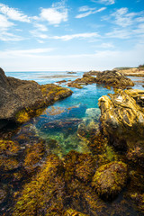 Fototapeta na wymiar Hidden Beach, Point Lobos State Natural Reserve, Carmel, California, USA
