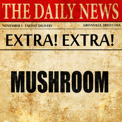 Delicious mushroom sign, newspaper article text