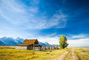 Grand Teton National Park, Wyoming.  Barn in a grass field.