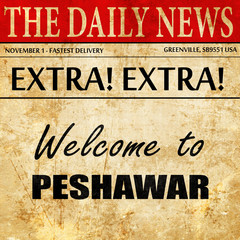 Welcome to peshawar, newspaper article text