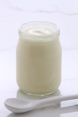 plain french style yogurt