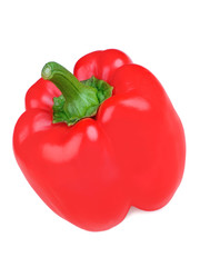Red pepper on white background