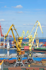 Bulk cargo ship under port crane