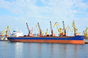 Bulk cargo ship under port crane