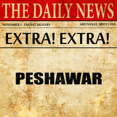 peshawar, newspaper article text