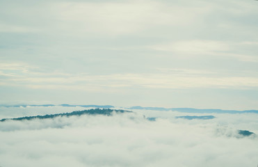 Sea mist at morning  on the mountain